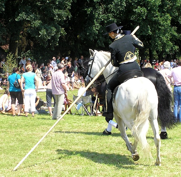 Lusitanos Schatten