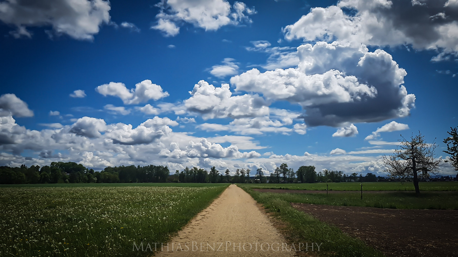 Lust auf einen Spaziergang??