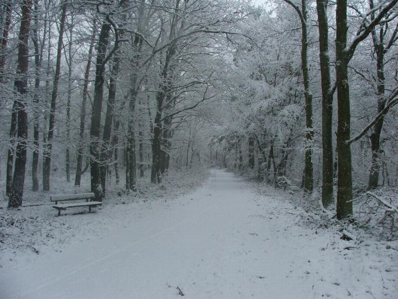 Lust auf einen Winterspaziergang....