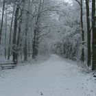 Lust auf einen Winterspaziergang....