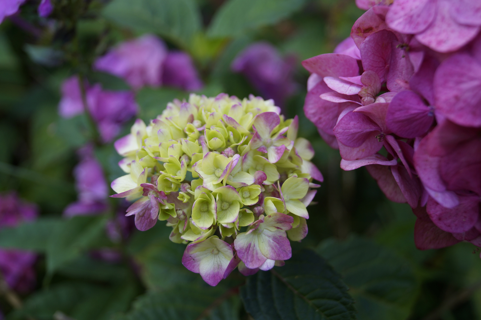 Lust auf Farbe