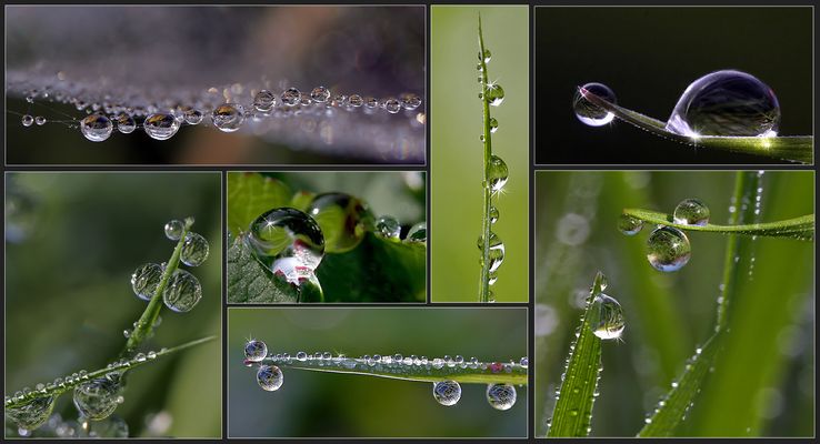 Lust auf Frühling....   !!!