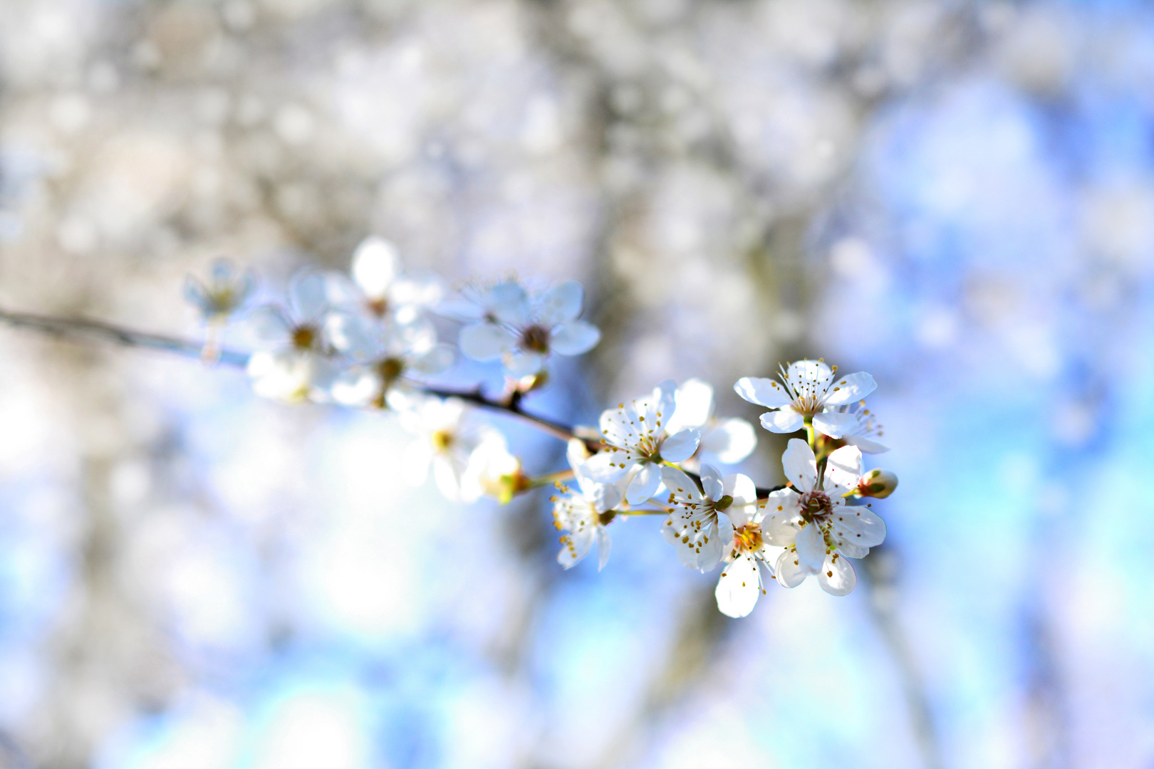 Lust auf Frühling