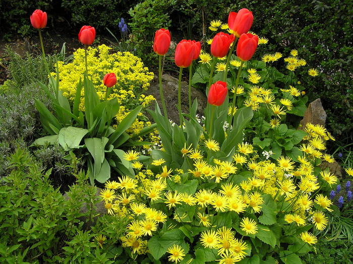 " LUST AUF FRÜHLING ? "