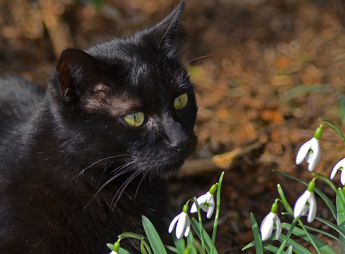 Lust auf Frühling