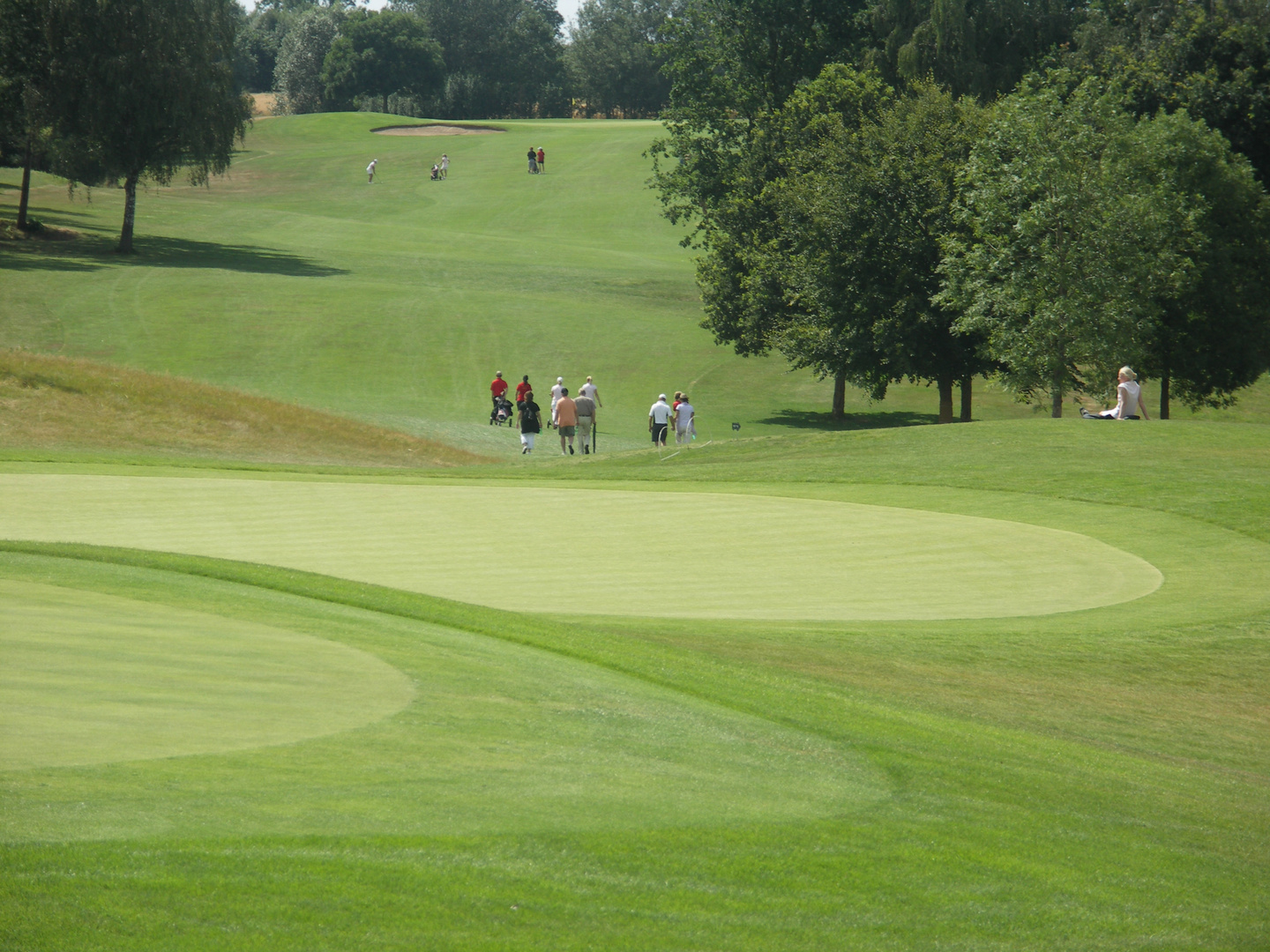 Lust auf Golf ?