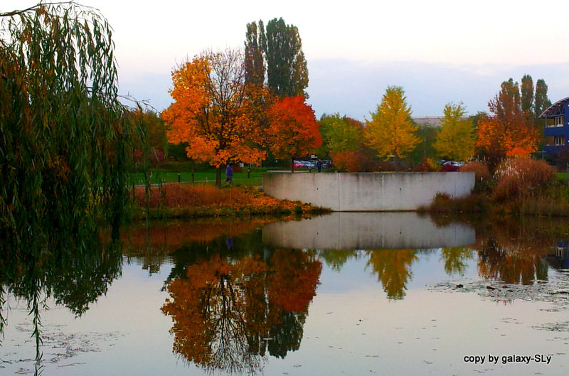 Lust auf Herbst