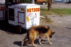 Lust auf Hot Dog ? :-)