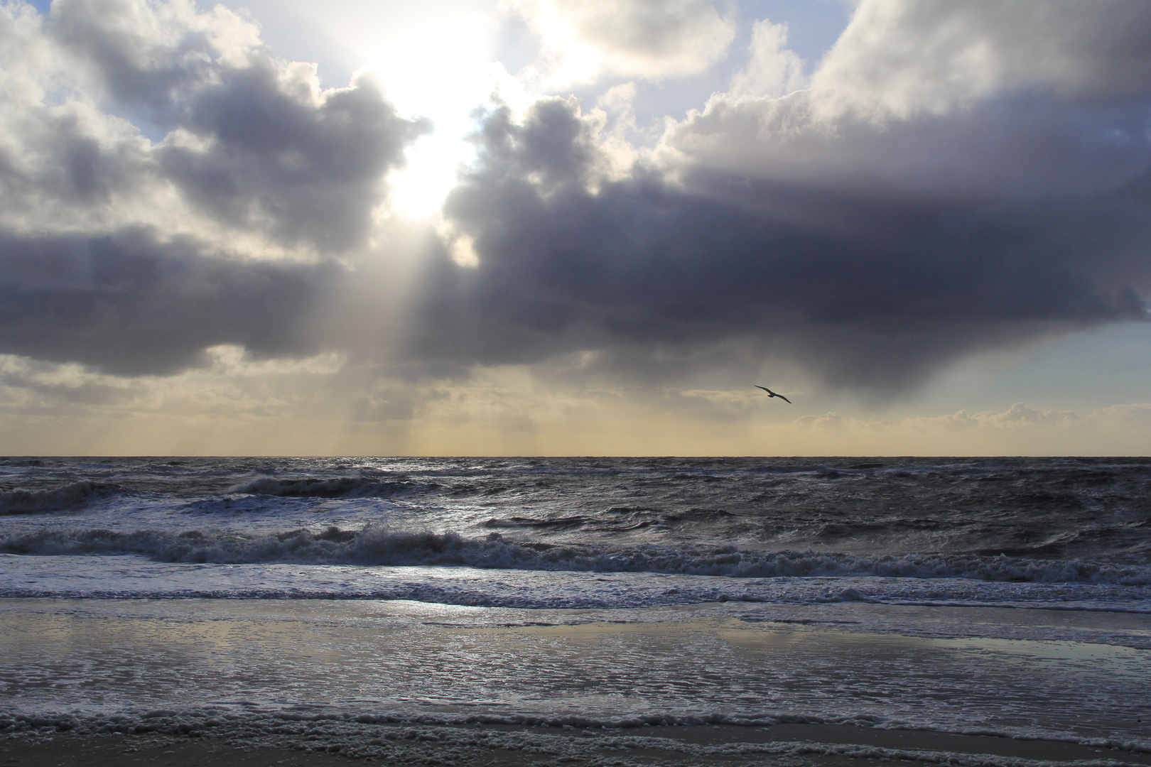 Lust auf Meer