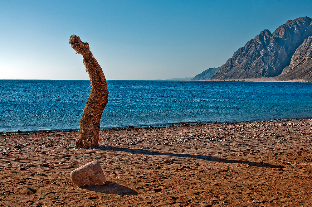 Lust auf MEER