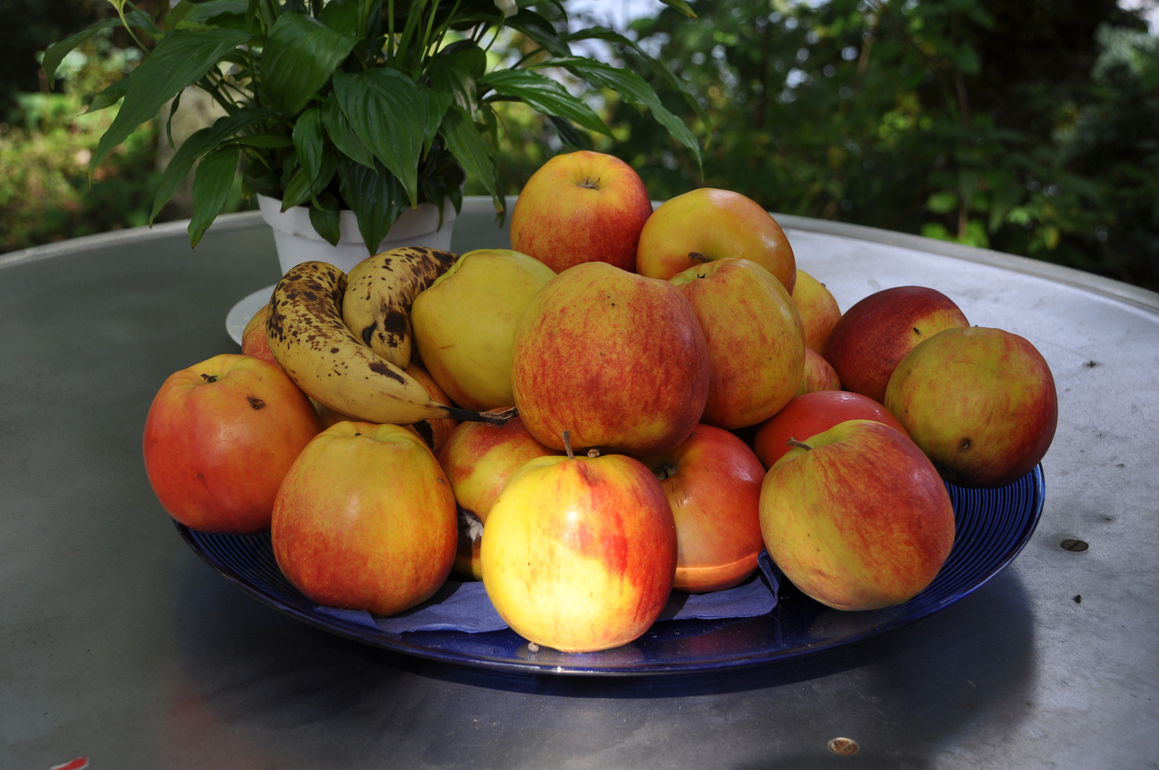 " LUST auf OBST "