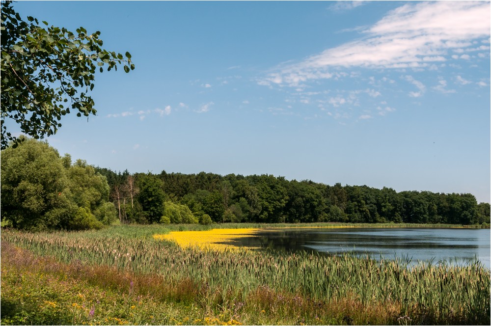 Lust auf Sommer?