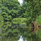 Lust auf Spreewald?