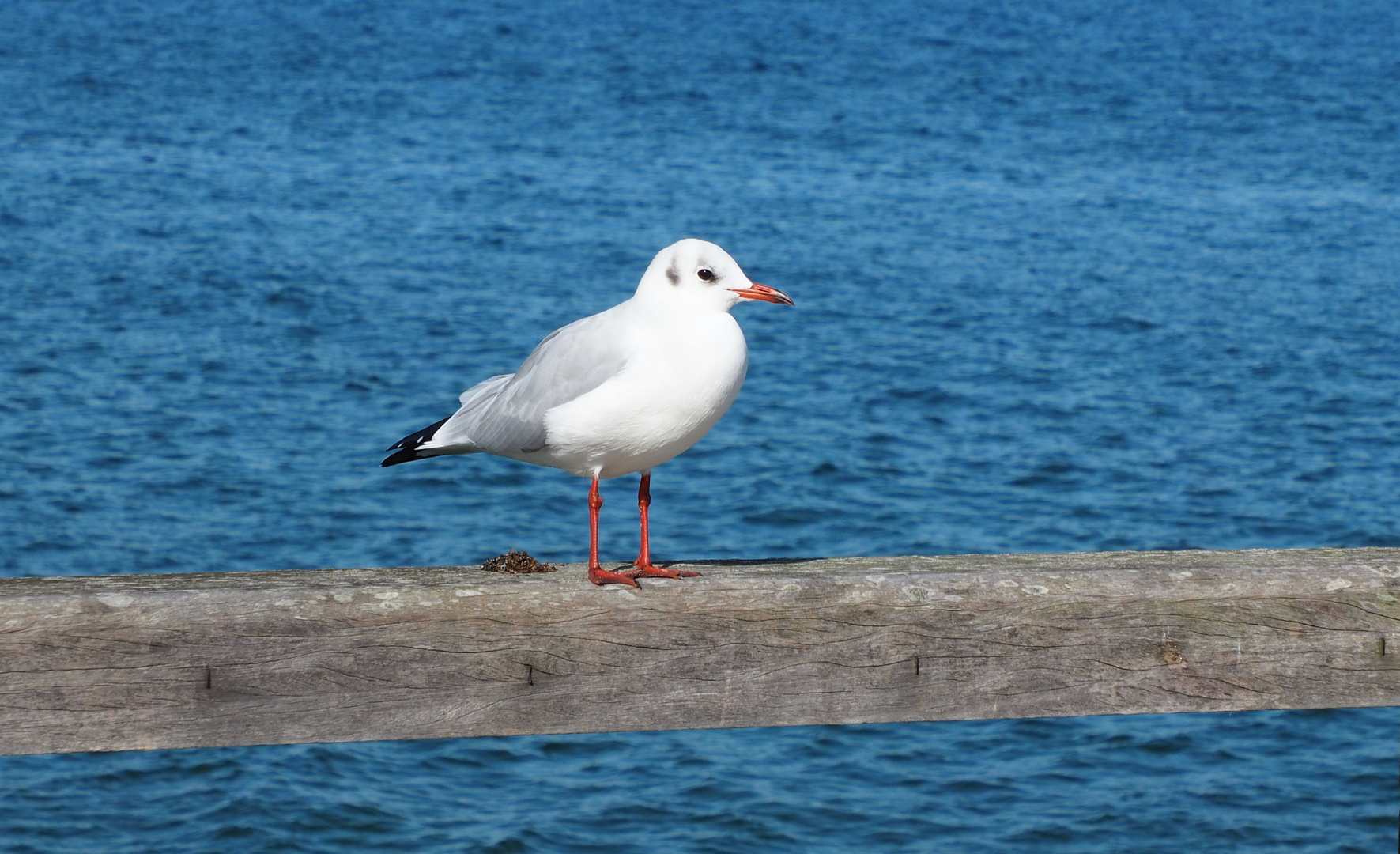 Lust auf Urlaub…