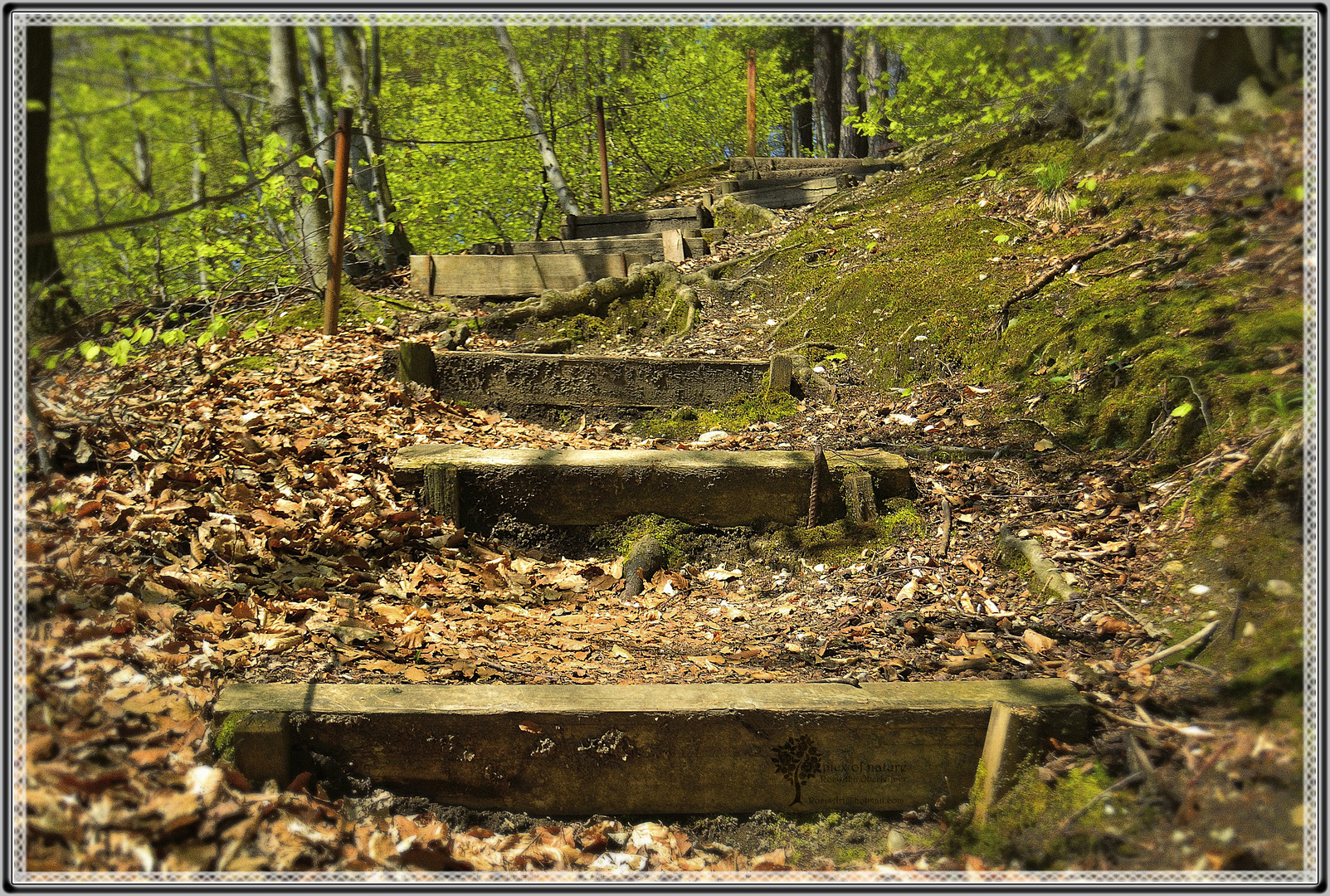 Lust auf Wandern?