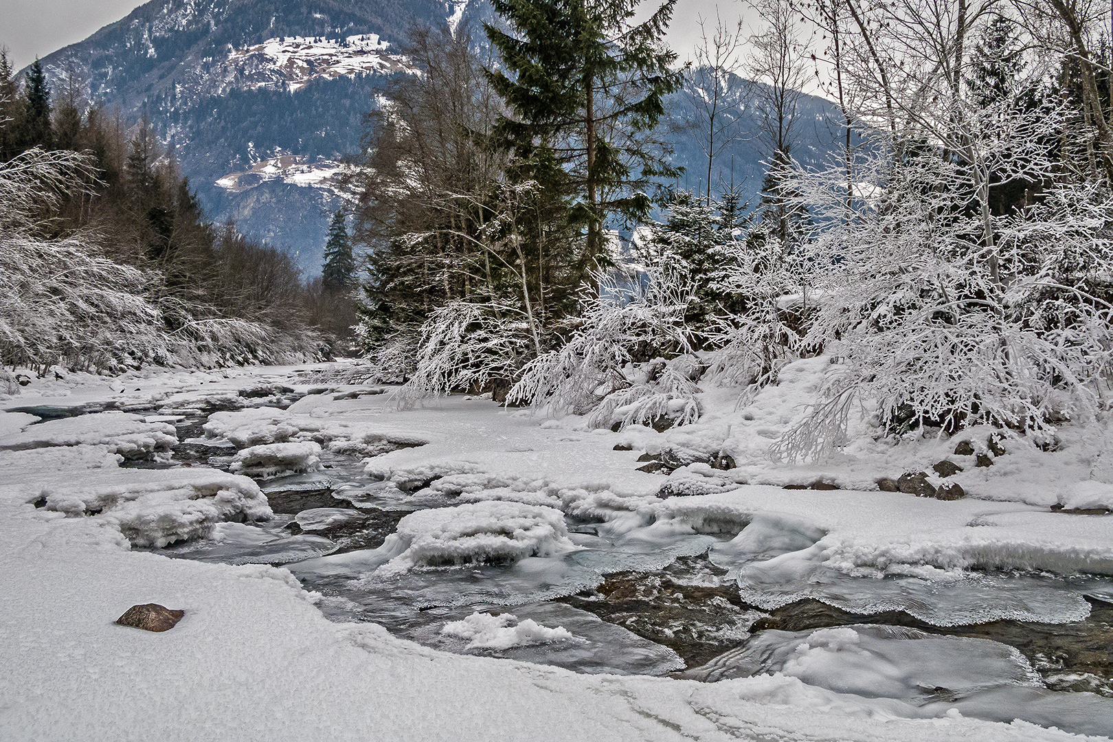 LUST AUF WINTER? (6)