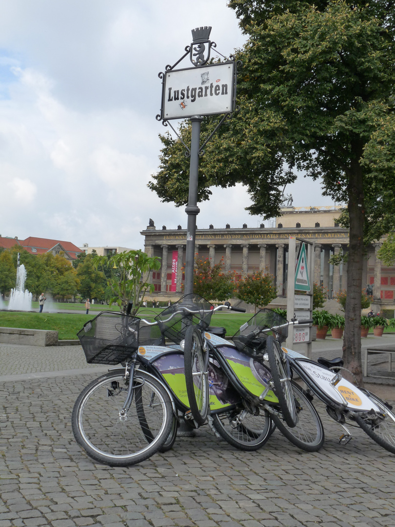 Lust im Garten für Fahrräder