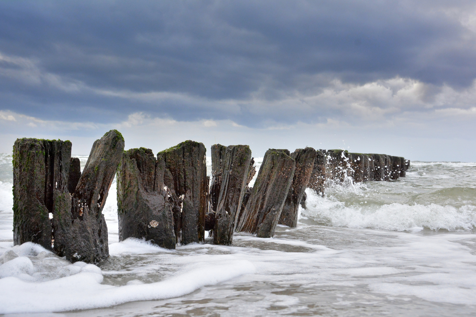 Lust nach Meer 