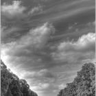 Lust und Jagdschloss Benrath HDR S/W