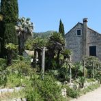 Lustgarten im Arboretum Trsteno (Dalmatien, Kroatien)