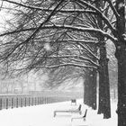 Lustgarten im Winter