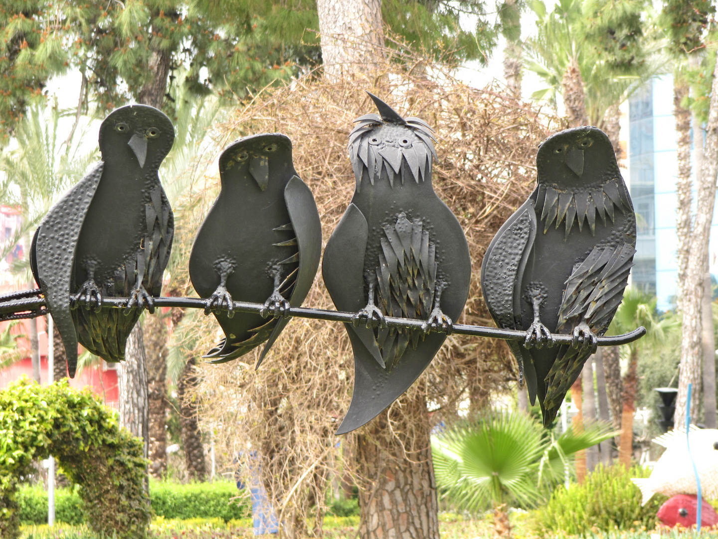 Lustige Vögel im Park von Alanya