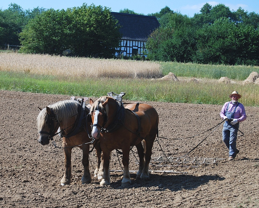 Lustiger Landwirt - Funny farmer - amusant agriculteur