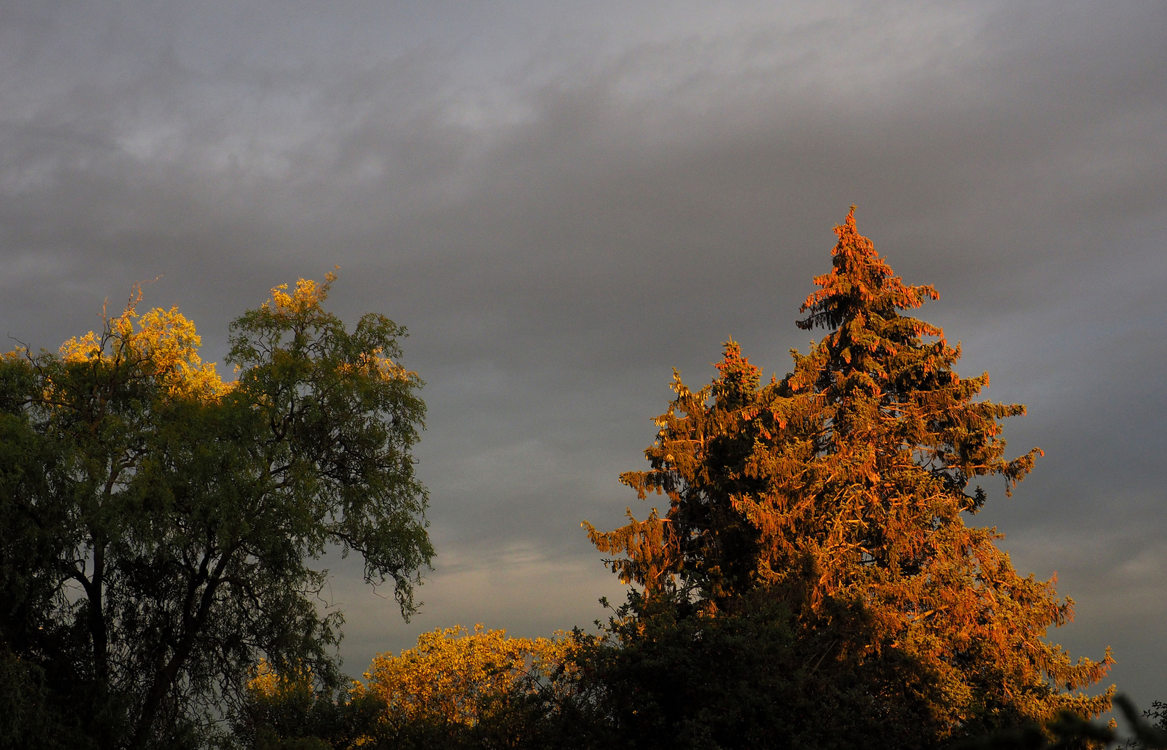 Lustiges Licht vor dem Gewitter ....