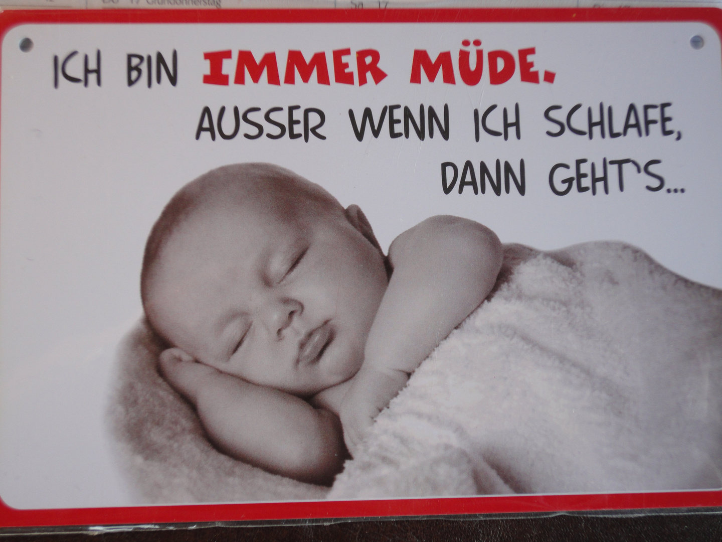 Lustiges Schild (1)