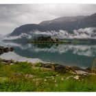 Lustrafjord