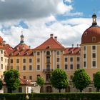 Lustschloss Moritzburg