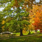 Lustwandeln im Luisium