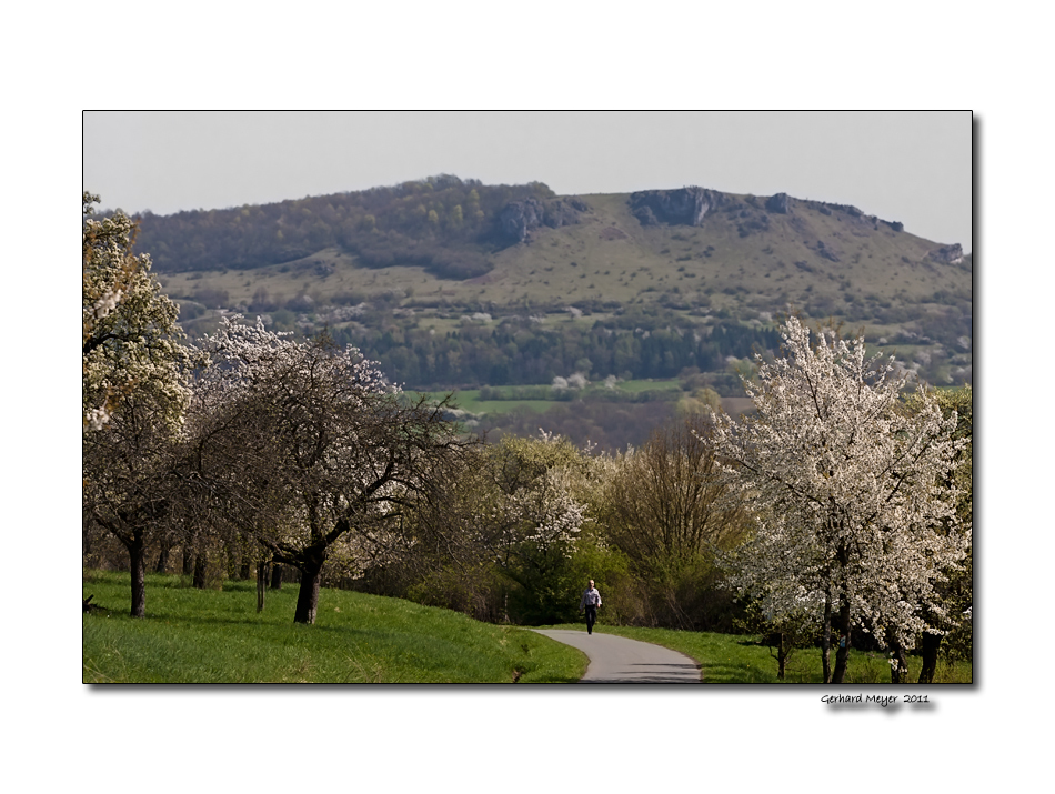 [ lustwandeln in Farbe ]