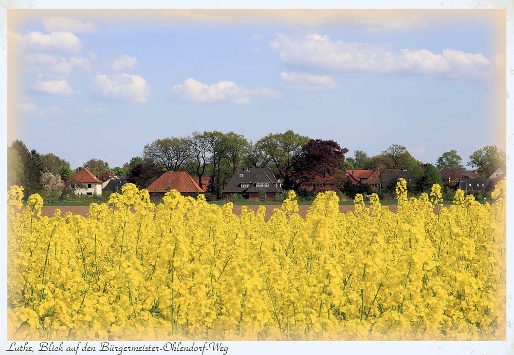 Luthe, Blick auf den Bürgermeister-Ohlendorf-Weg