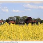 Luthe, Blick auf den Bürgermeister-Ohlendorf-Weg