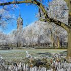  - Luthergarten mit Schlosskirche -