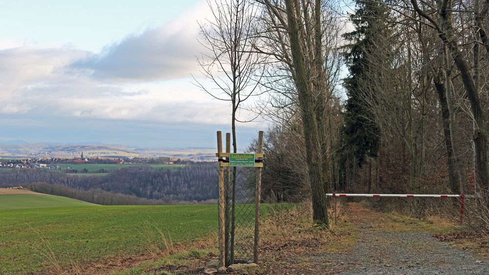 Lutherlinde als große Datei hochgeladen