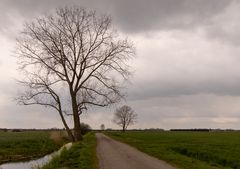 Lutterveld - Nieuwlandsesteeg - 05