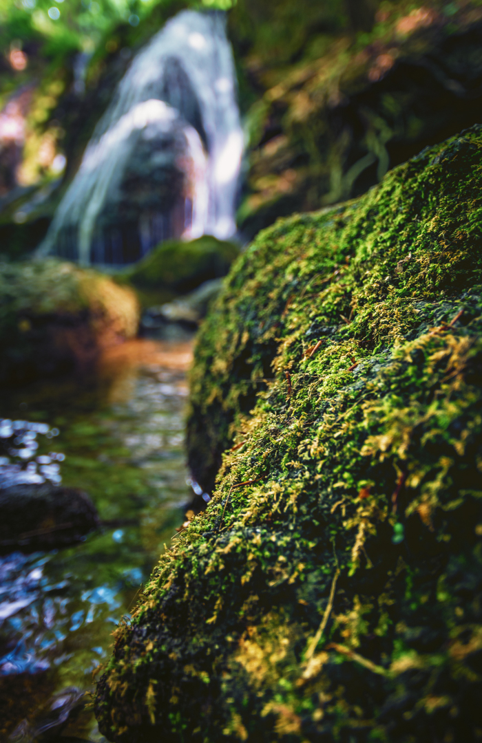 Lutterwasserfall im Eichsfeld 2