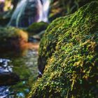 Lutterwasserfall im Eichsfeld 2