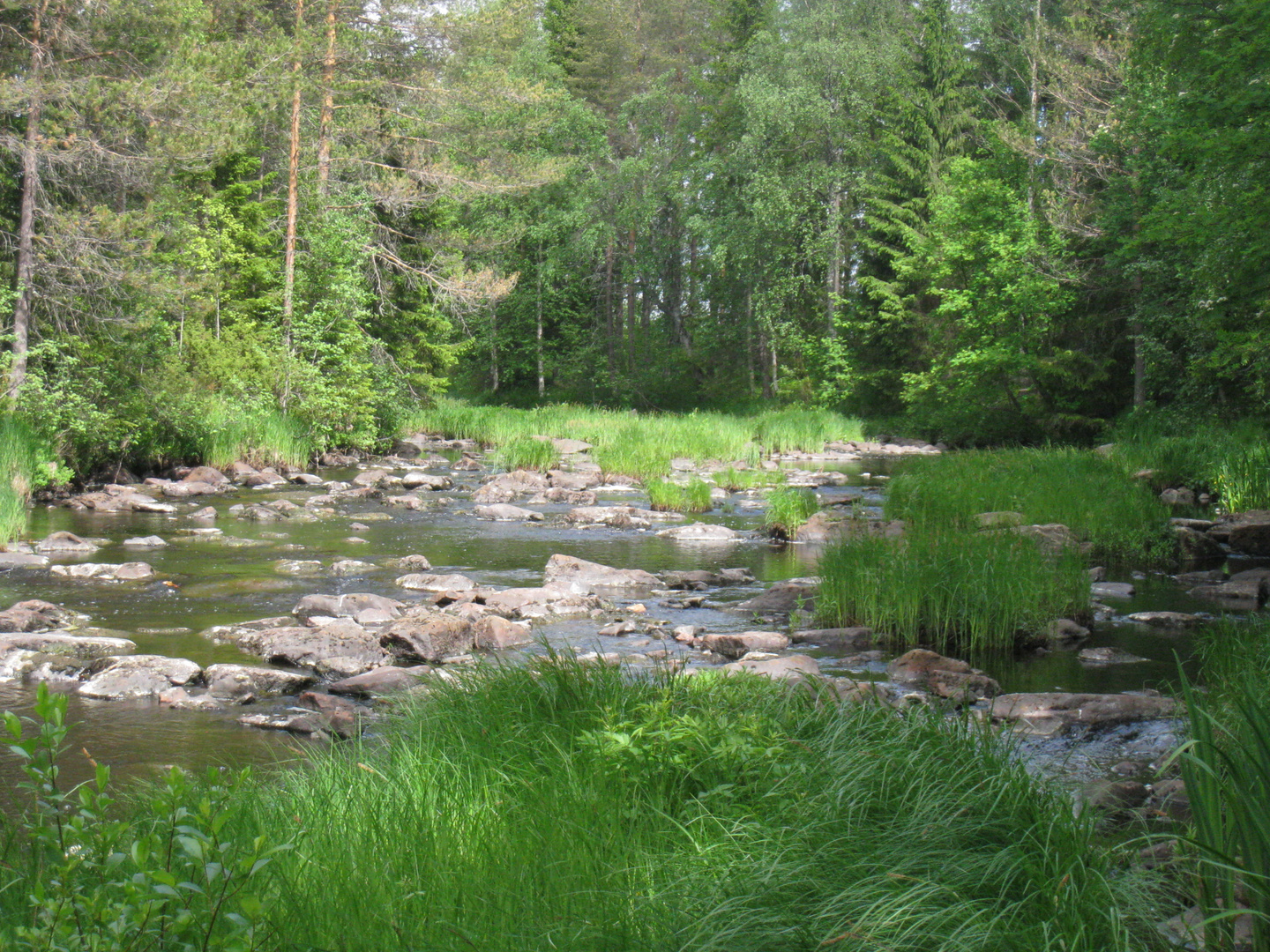 Luujoki River