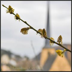 Luxembourg City Spring 1