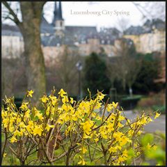 Luxembourg City Spring 4