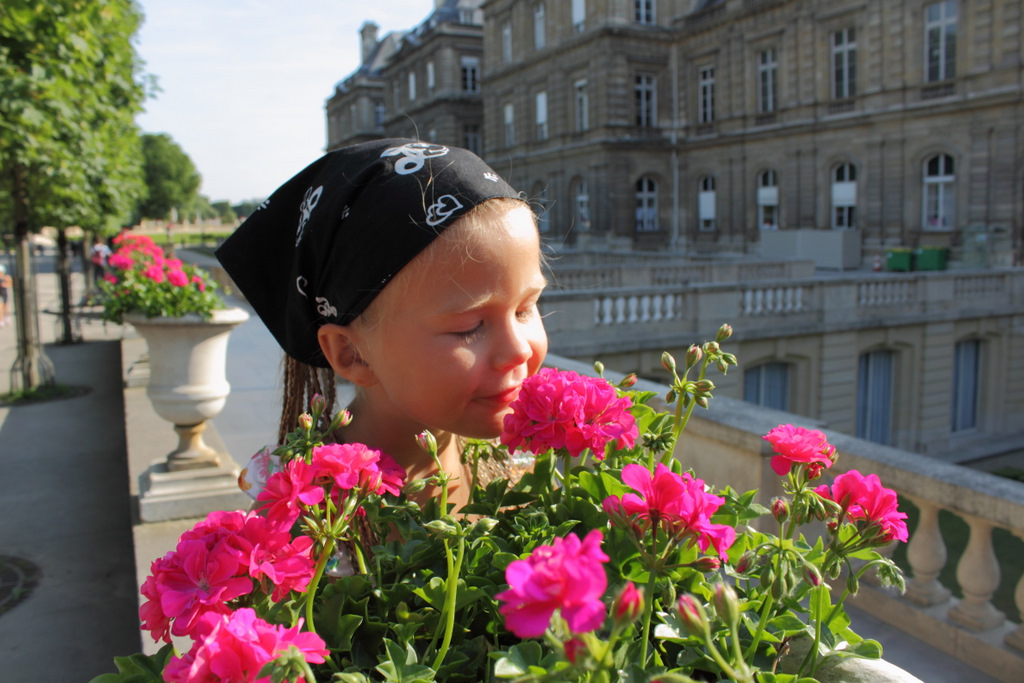 Luxembourg Palace