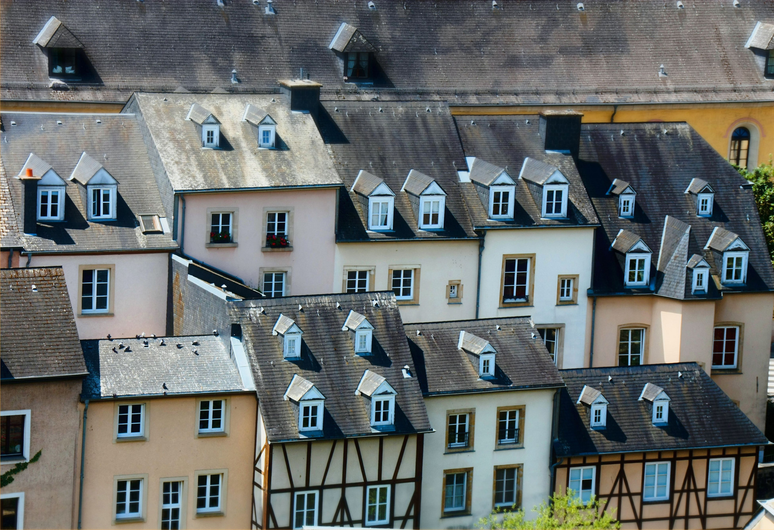 Luxemburg Houses from Ground