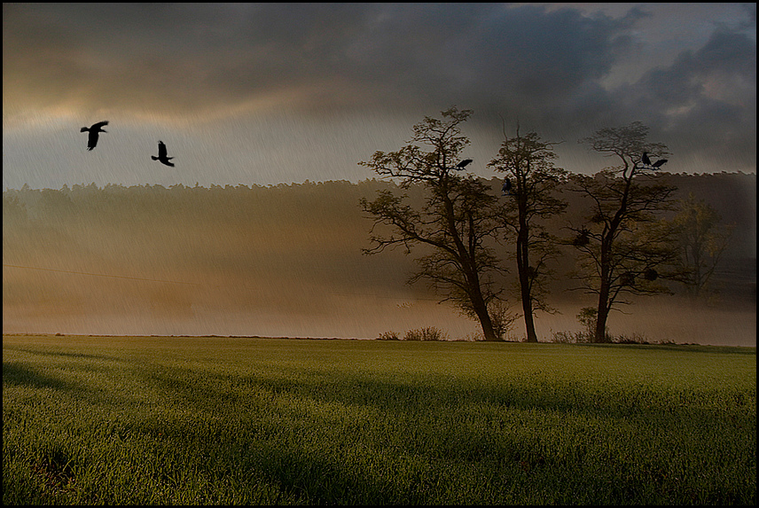 Luxemburger Feld