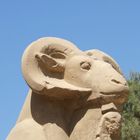 Luxor - Karnak - Allee der widderköpfigen Sphingen