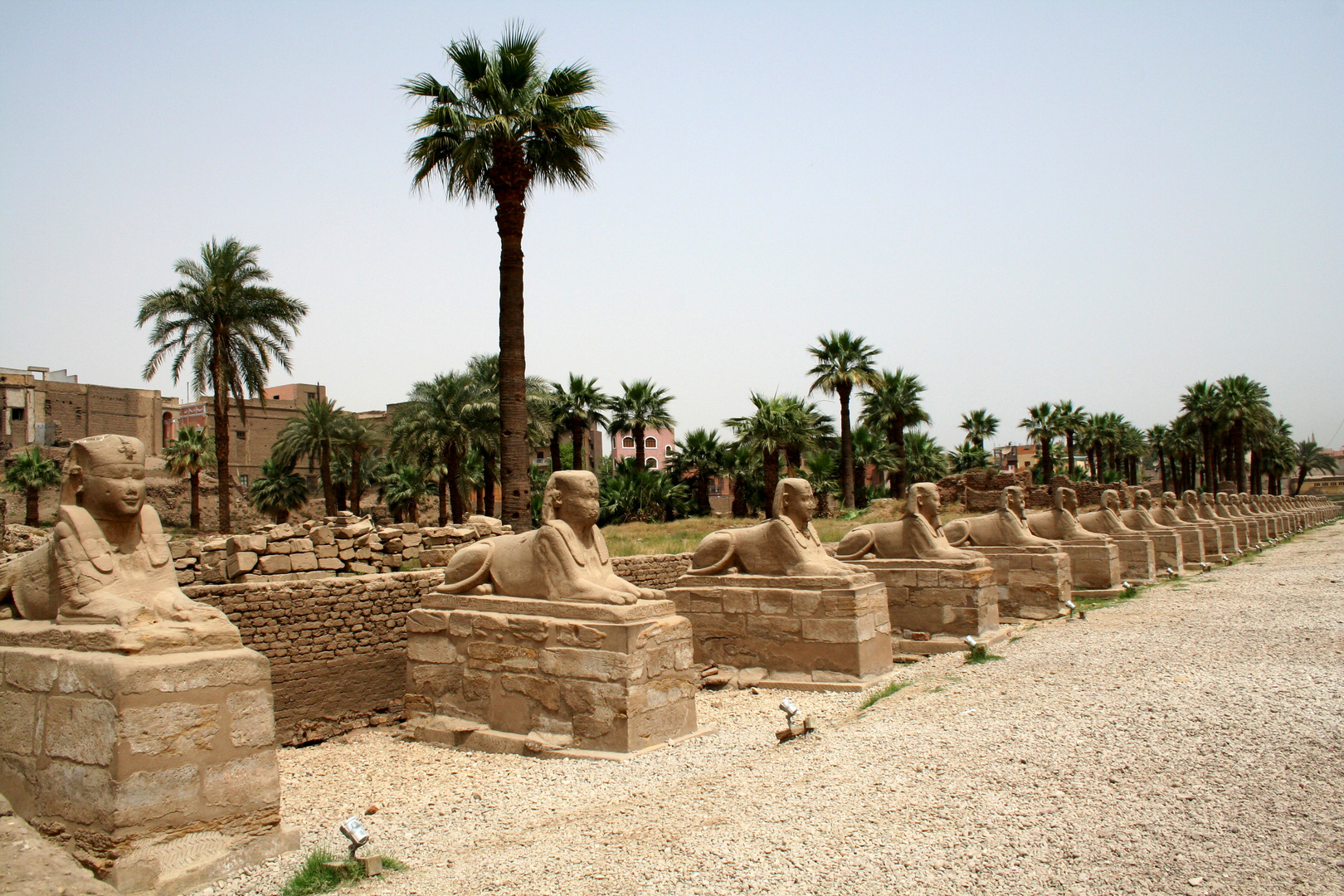 Luxor Tempel - 2007