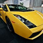 Luxus Motor Show - Lamborghini Gallardo