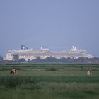 Luxusliner fährt in Ostfriesland über Land ....